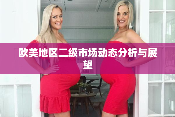 欧美地区二级市场动态分析与展望