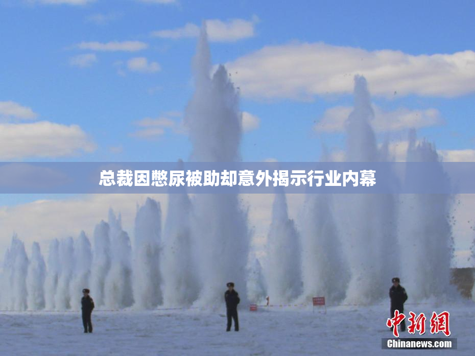 总裁因憋尿被助却意外揭示行业内幕