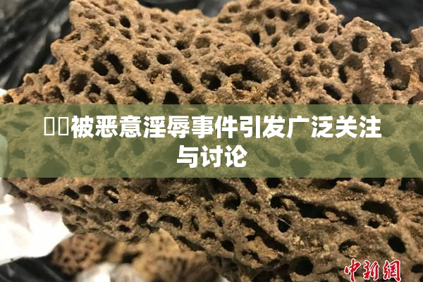 妺妺被恶意淫辱事件引发广泛关注与讨论