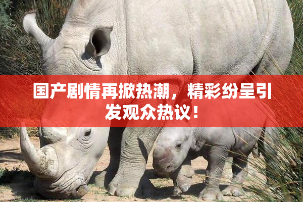 国产剧情再掀热潮，精彩纷呈引发观众热议！