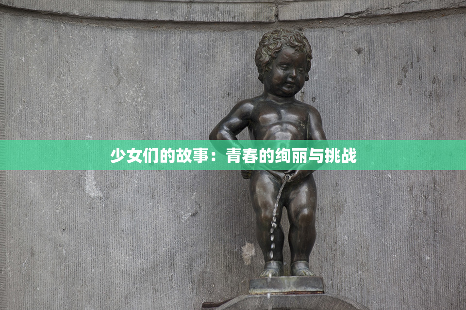 少女们的故事：青春的绚丽与挑战