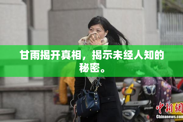 甘雨揭开真相，揭示未经人知的秘密。