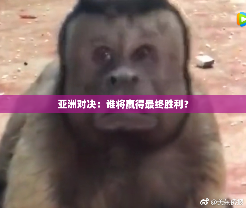 亚洲对决：谁将赢得最终胜利？