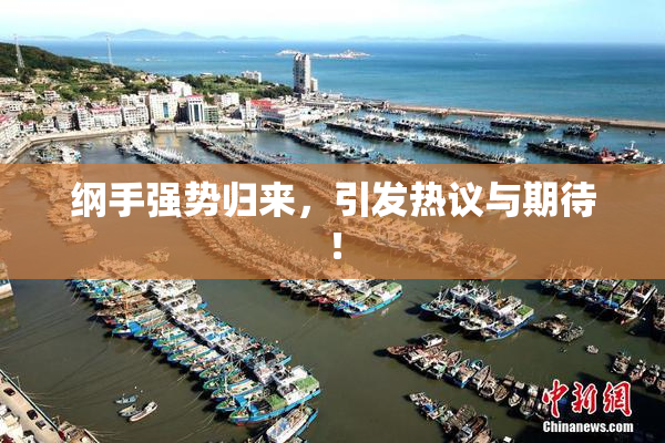 纲手强势归来，引发热议与期待！