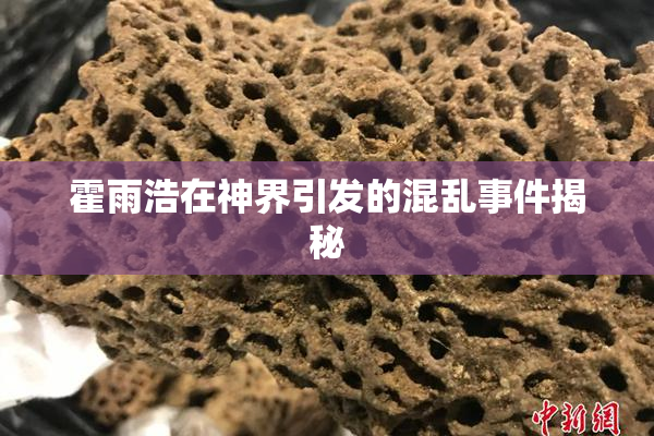 霍雨浩在神界引发的混乱事件揭秘