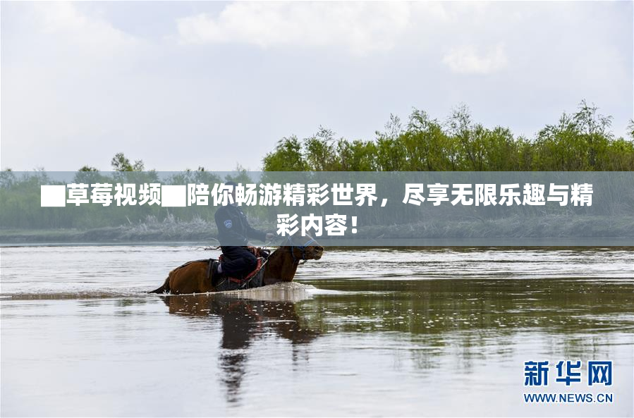 ▇草莓视频▇陪你畅游精彩世界，尽享无限乐趣与精彩内容！