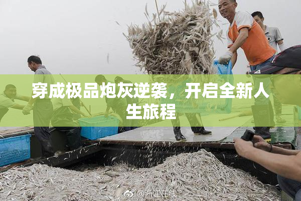 穿成极品炮灰逆袭，开启全新人生旅程