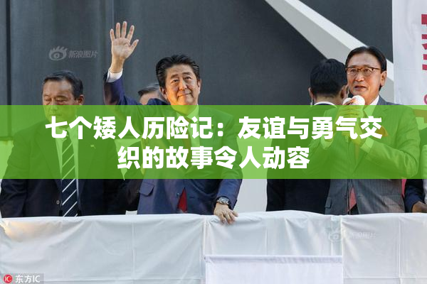 七个矮人历险记：友谊与勇气交织的故事令人动容