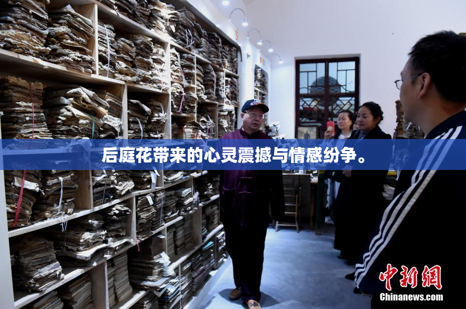 后庭花带来的心灵震撼与情感纷争。