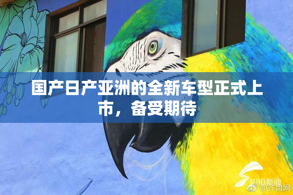 国产日产亚洲的全新车型正式上市，备受期待