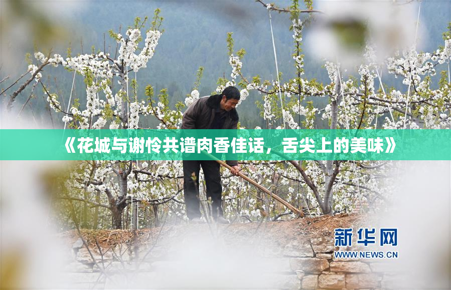 《花城与谢怜共谱肉香佳话，舌尖上的美味》