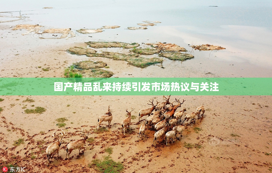 国产精品乱来持续引发市场热议与关注