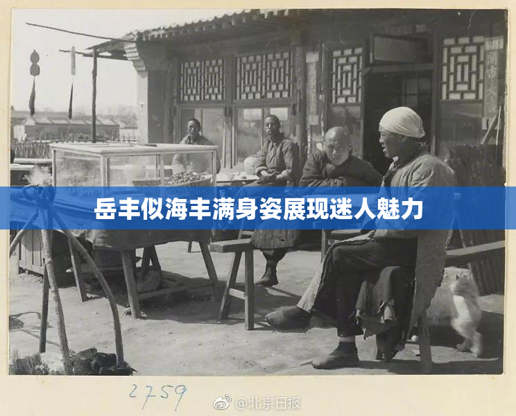 岳丰似海丰满身姿展现迷人魅力
