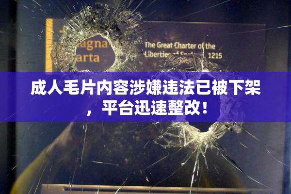 成人毛片内容涉嫌违法已被下架，平台迅速整改！