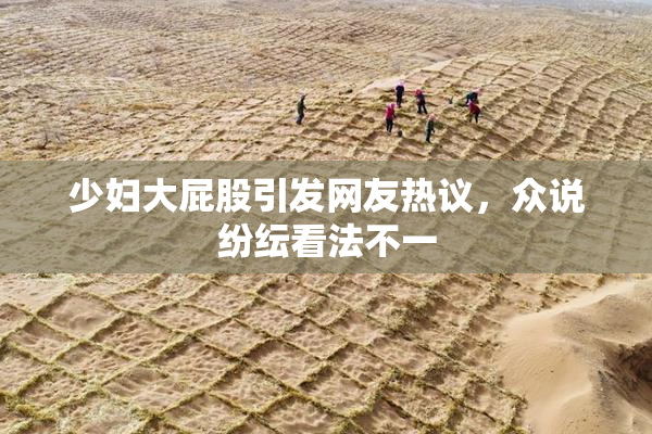 少妇大屁股引发网友热议，众说纷纭看法不一