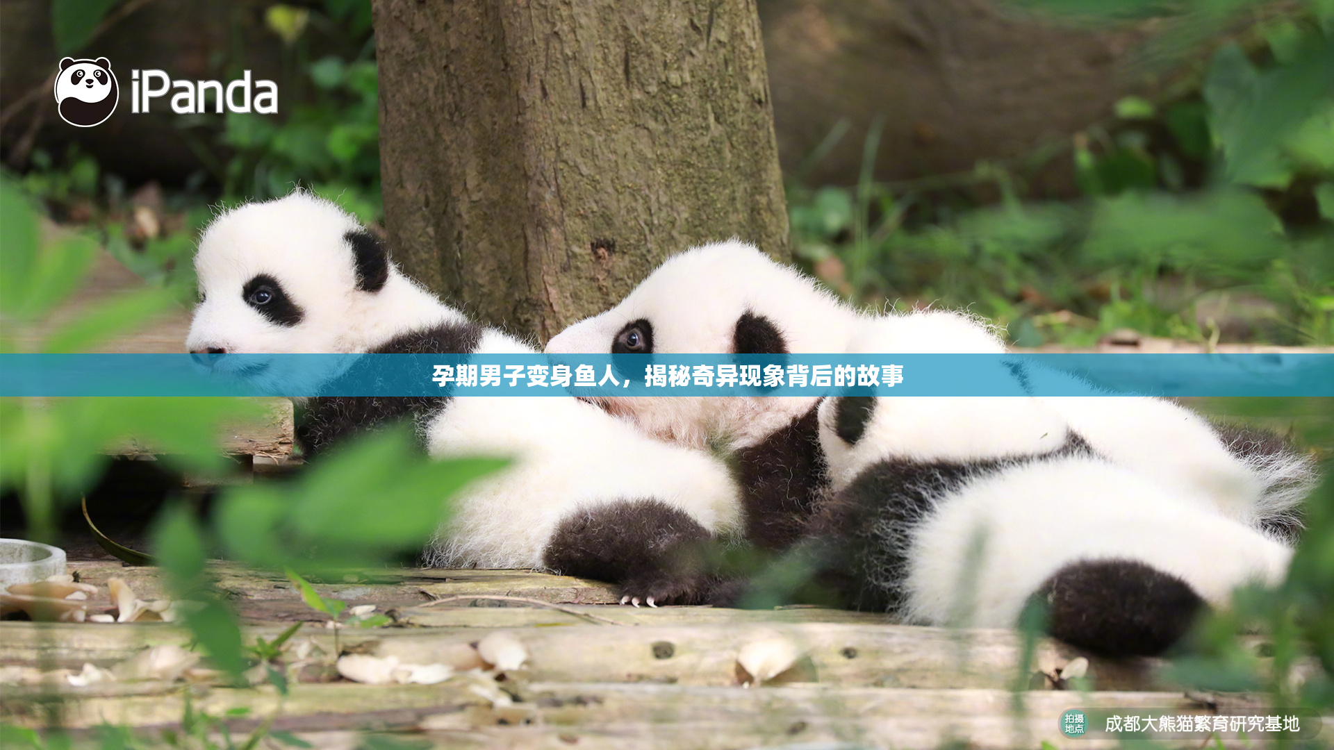孕期男子变身鱼人，揭秘奇异现象背后的故事