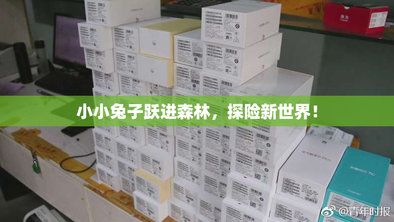 小小兔子跃进森林，探险新世界！