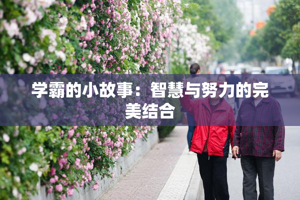 学霸的小故事：智慧与努力的完美结合