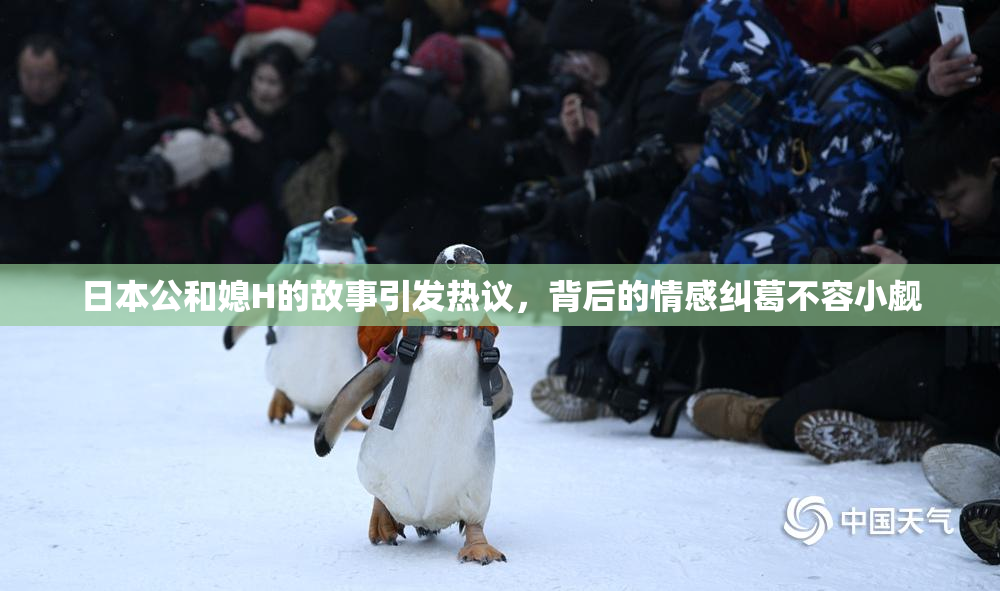 日本公和媳H的故事引发热议，背后的情感纠葛不容小觑