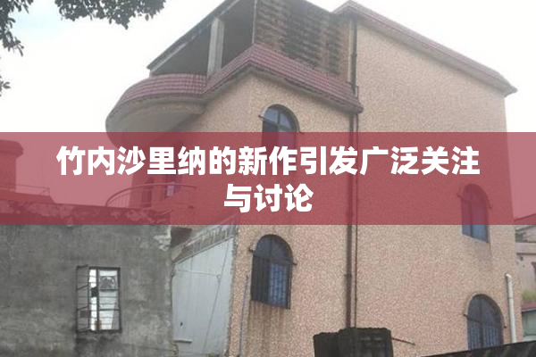竹内沙里纳的新作引发广泛关注与讨论