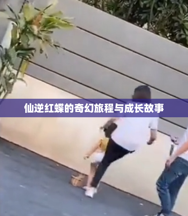 仙逆红蝶的奇幻旅程与成长故事