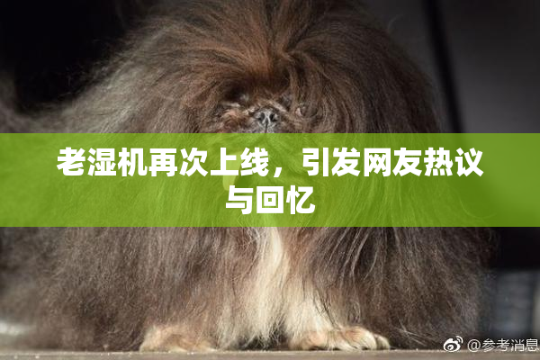 老湿机再次上线，引发网友热议与回忆