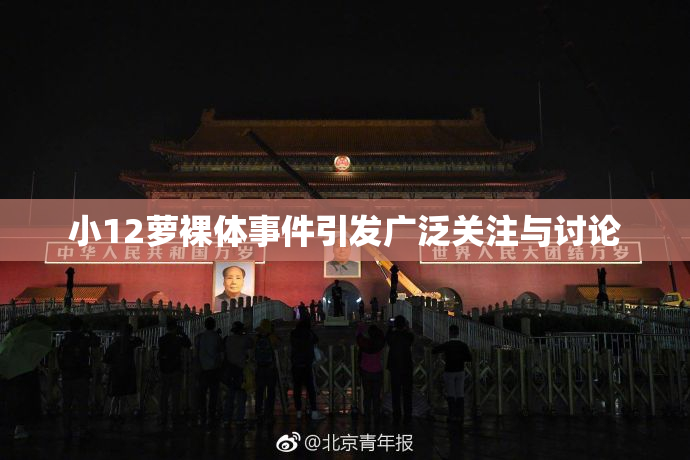 小12萝裸体事件引发广泛关注与讨论