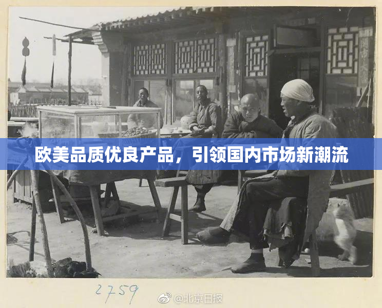 欧美品质优良产品，引领国内市场新潮流