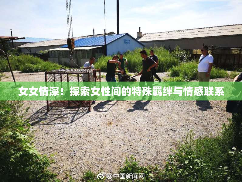 女女情深！探索女性间的特殊羁绊与情感联系