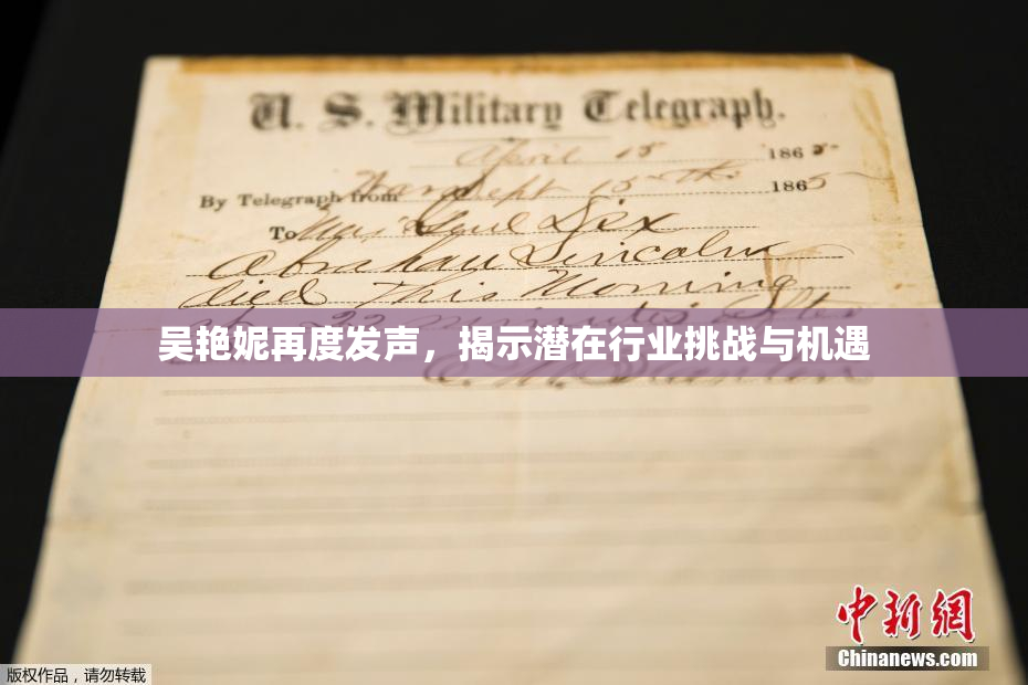 吴艳妮再度发声，揭示潜在行业挑战与机遇
