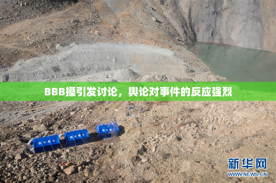 BBB搡引发讨论，舆论对事件的反应强烈