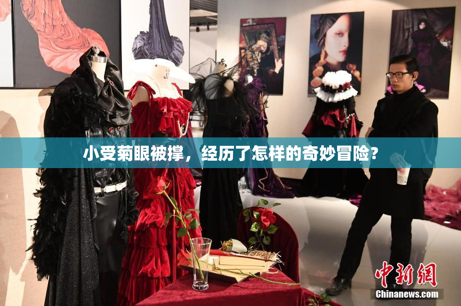 小受菊眼被撑，经历了怎样的奇妙冒险？