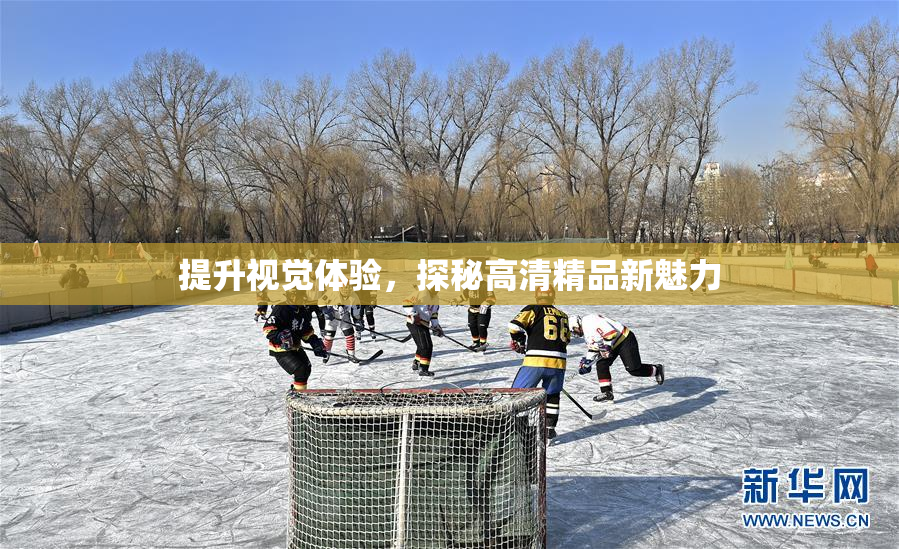 提升视觉体验，探秘高清精品新魅力