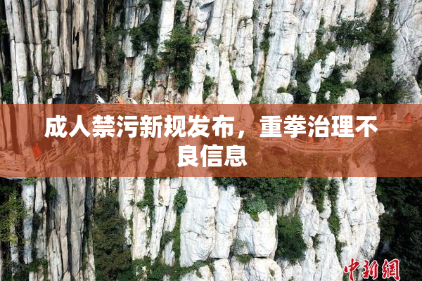 成人禁污新规发布，重拳治理不良信息