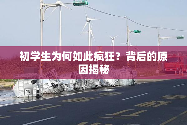 初学生为何如此疯狂？背后的原因揭秘
