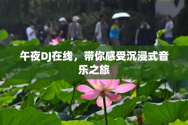 午夜DJ在线，带你感受沉浸式音乐之旅