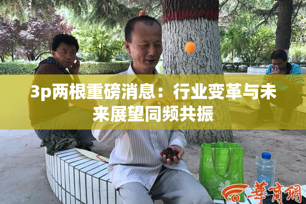 3p两根重磅消息：行业变革与未来展望同频共振