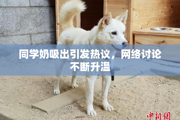同学奶吸出引发热议，网络讨论不断升温