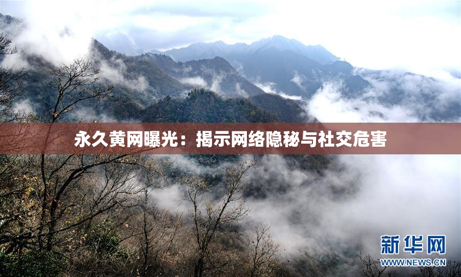 永久黄网曝光：揭示网络隐秘与社交危害