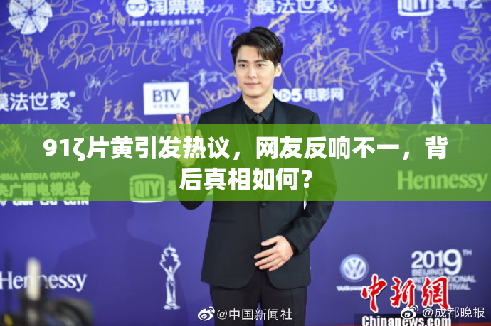 91ζ片黄引发热议，网友反响不一，背后真相如何？