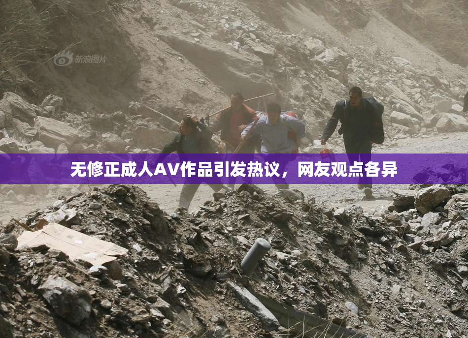 无修正成人AV作品引发热议，网友观点各异