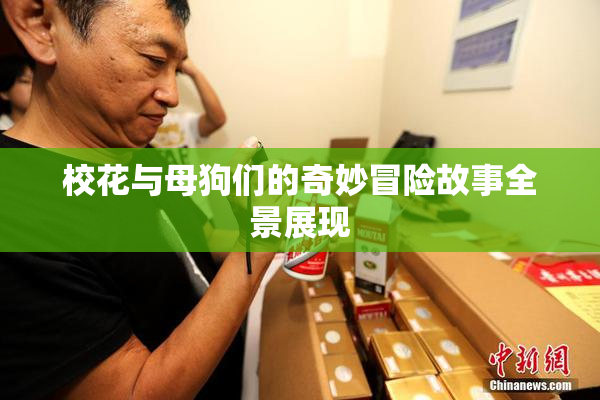 校花与母狗们的奇妙冒险故事全景展现