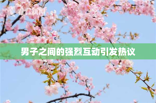 男子之间的强烈互动引发热议