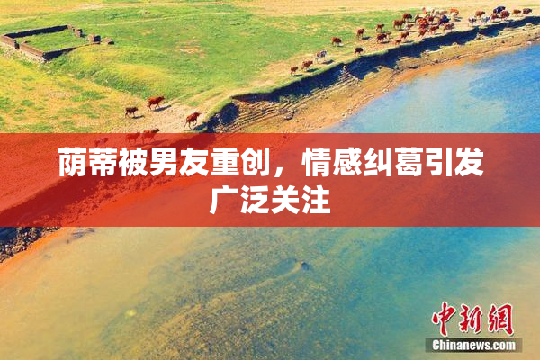 荫蒂被男友重创，情感纠葛引发广泛关注
