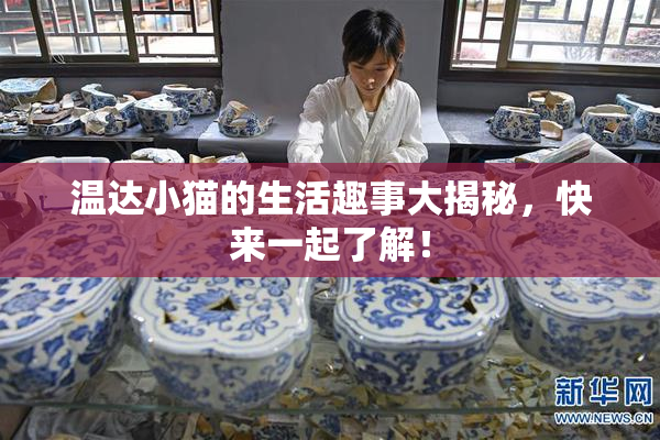 温达小猫的生活趣事大揭秘，快来一起了解！
