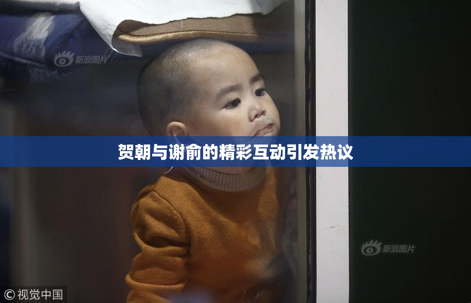贺朝与谢俞的精彩互动引发热议
