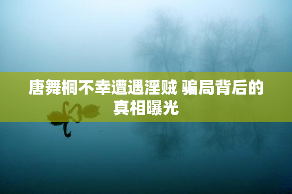 唐舞桐不幸遭遇淫贼 骗局背后的真相曝光