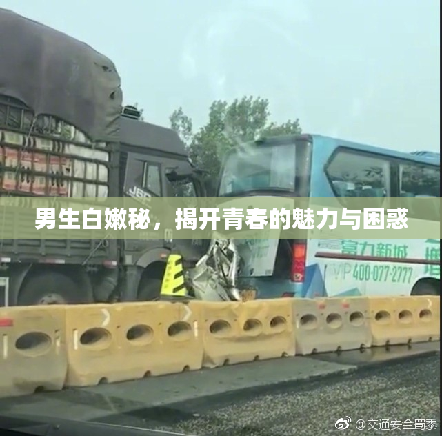 男生白嫩秘，揭开青春的魅力与困惑