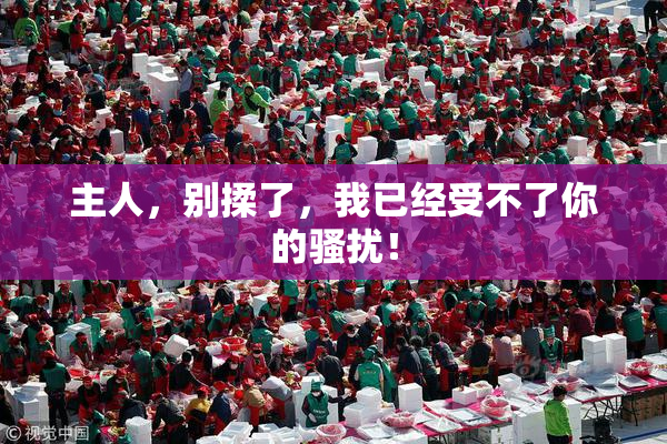 主人，别揉了，我已经受不了你的骚扰！