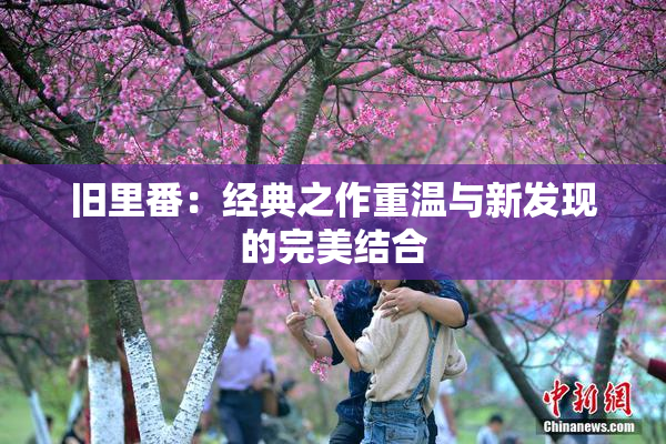 旧里番：经典之作重温与新发现的完美结合